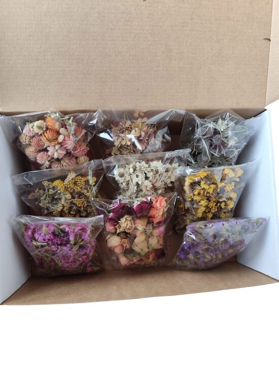 Sauso ziedu komplekts floristikas darbiem, 9 veidi