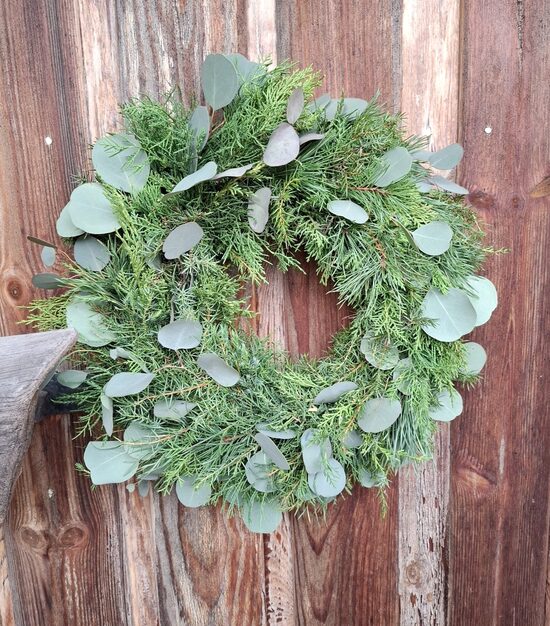 Ziemas vainags ar eikaliptiem, dabīgs