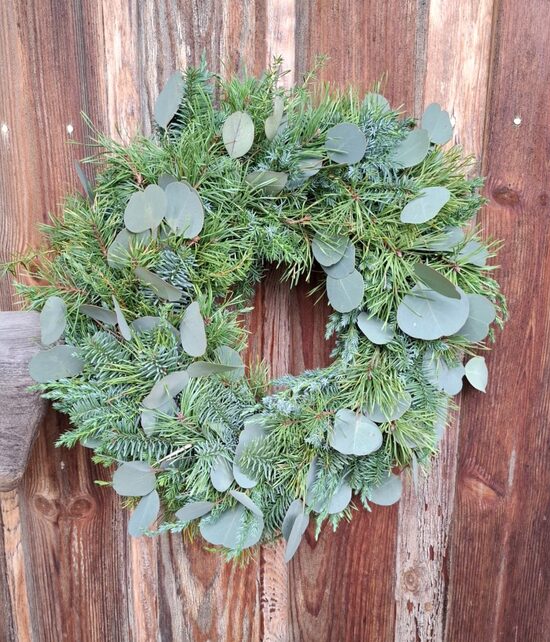 Ziemas vainags ar eikaliptiem un sudrabegli