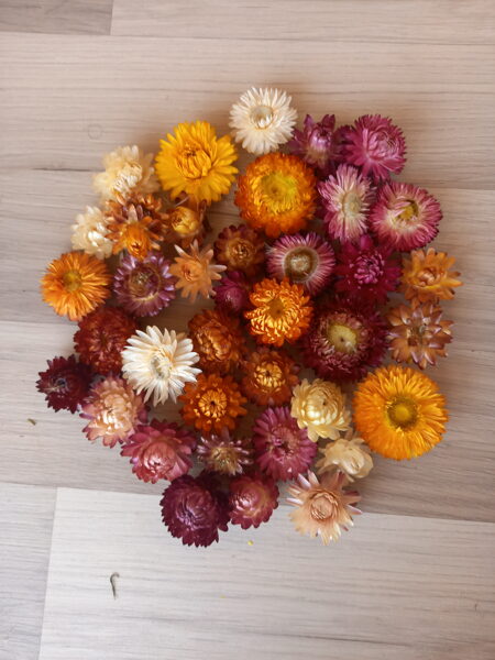 Kaltētu krāsainu salmeņu ziedi