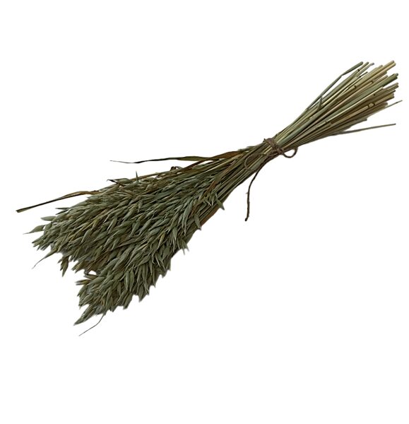 Sausie augi, auzas, 40 gb