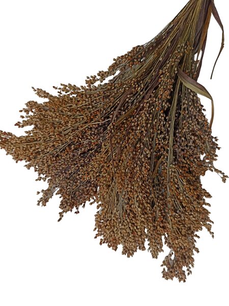 Sausie augi, dekoratīvā prosa, 15 gb